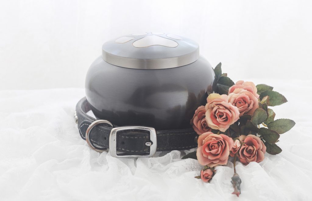 Кремация домашних животных в г. Чехове Московской области: гуманный и безопасный способ попрощаться с любимым питомцем