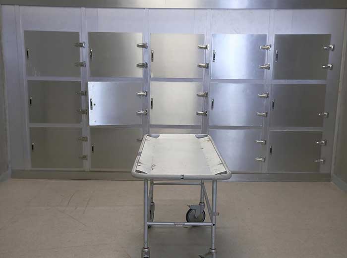 Морг для домашних животных в г. Чехов Московской области