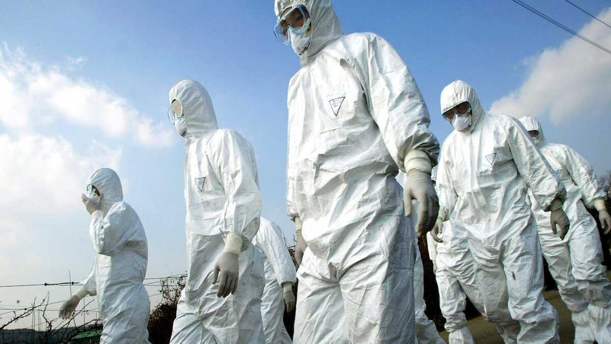 Вывоз трупов умерших животных в г. Чехов Московской области