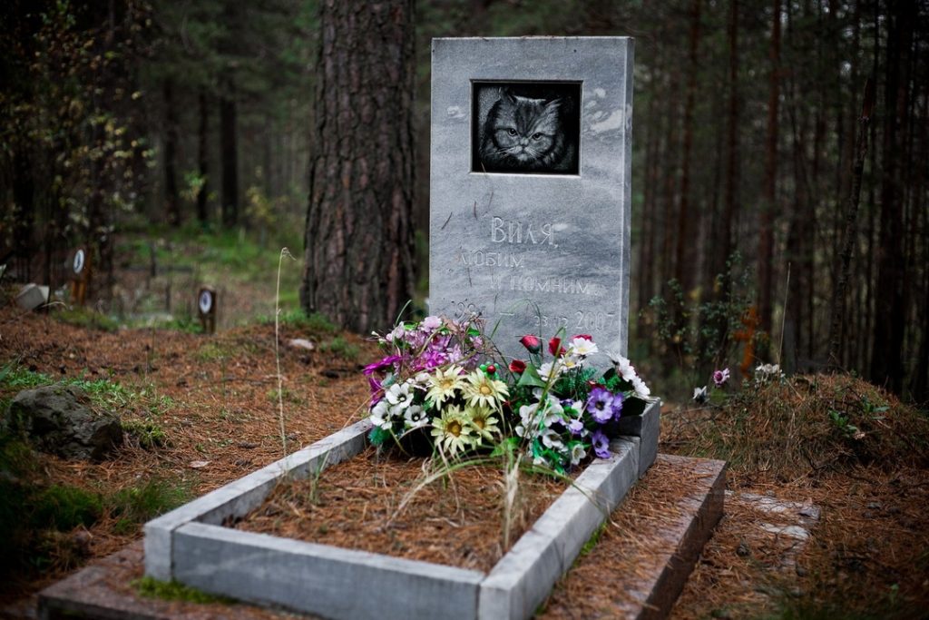 Похоронить животное на официальном кладбище домашних животных в г. Чехов Московской области