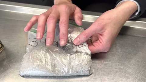 Индивидуальная кремация животных в Чехове: достойная память о любимце